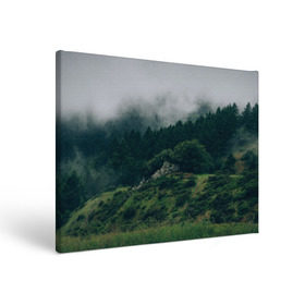 Холст прямоугольный с принтом Туманный лес , 100% ПВХ |  | Тематика изображения на принте: веткгоры | деревья | лес | туман
