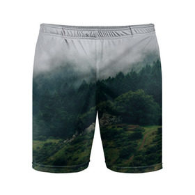 Мужские шорты 3D спортивные с принтом Туманный лес ,  |  | веткгоры | деревья | лес | туман