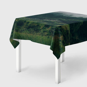 Скатерть 3D с принтом Туманный лес , 100% полиэстер (ткань не мнется и не растягивается) | Размер: 150*150 см | веткгоры | деревья | лес | туман