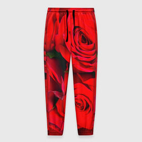 Мужские брюки 3D с принтом Розы , 100% полиэстер | манжеты по низу, эластичный пояс регулируется шнурком, по бокам два кармана без застежек, внутренняя часть кармана из мелкой сетки | Тематика изображения на принте: букет | красная | лепестки | роза | цветы