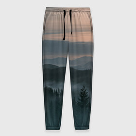 Мужские брюки 3D с принтом Туман в горах , 100% полиэстер | манжеты по низу, эластичный пояс регулируется шнурком, по бокам два кармана без застежек, внутренняя часть кармана из мелкой сетки | ветки | деревья | лес | туман