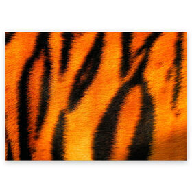 Поздравительная открытка с принтом Шкура тигра , 100% бумага | плотность бумаги 280 г/м2, матовая, на обратной стороне линовка и место для марки
 | кошка | полосатая | текстуры | тигр