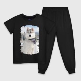 Детская пижама хлопок с принтом Волк в зимнем лесу , 100% хлопок |  брюки и футболка прямого кроя, без карманов, на брюках мягкая резинка на поясе и по низу штанин
 | Тематика изображения на принте: серый | хаски