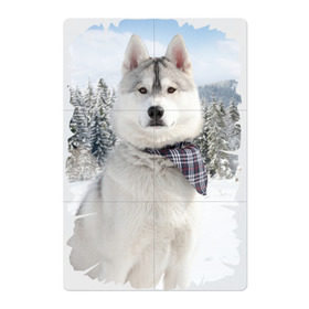 Магнитный плакат 2Х3 с принтом Волк в зимнем лесу , Полимерный материал с магнитным слоем | 6 деталей размером 9*9 см | Тематика изображения на принте: серый | хаски