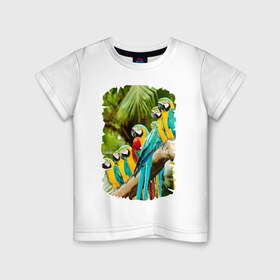 Детская футболка хлопок с принтом Экзотические попугаи , 100% хлопок | круглый вырез горловины, полуприлегающий силуэт, длина до линии бедер | джунгли | клюв | острова | перья | попугай | птица | тропики | экзотика