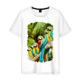 Мужская футболка хлопок с принтом Экзотические попугаи , 100% хлопок | прямой крой, круглый вырез горловины, длина до линии бедер, слегка спущенное плечо. | джунгли | клюв | острова | перья | попугай | птица | тропики | экзотика