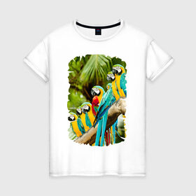 Женская футболка хлопок с принтом Экзотические попугаи , 100% хлопок | прямой крой, круглый вырез горловины, длина до линии бедер, слегка спущенное плечо | джунгли | клюв | острова | перья | попугай | птица | тропики | экзотика