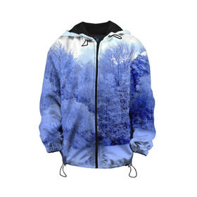 Детская куртка 3D с принтом Зима , 100% полиэстер | застежка — молния, подол и капюшон оформлены резинкой с фиксаторами, по бокам — два кармана без застежек, один потайной карман на груди, плотность верхнего слоя — 90 г/м2; плотность флисового подклада — 260 г/м2 | Тематика изображения на принте: деревья | природа | синий | снег | снежный