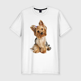 Мужская футболка премиум с принтом Ухоженная собачка , 92% хлопок, 8% лайкра | приталенный силуэт, круглый вырез ворота, длина до линии бедра, короткий рукав | 
