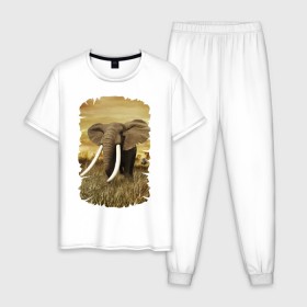 Мужская пижама хлопок с принтом Могучий слон , 100% хлопок | брюки и футболка прямого кроя, без карманов, на брюках мягкая резинка на поясе и по низу штанин
 | elephant | африка | бивни | джунгли | мамонт | савана | сафари | слон | хобот