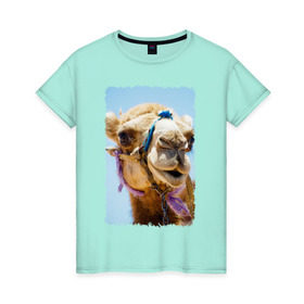 Женская футболка хлопок с принтом Верблюд , 100% хлопок | прямой крой, круглый вырез горловины, длина до линии бедер, слегка спущенное плечо | верблюд | горб | животное | караван | песок | плевок | пустыня