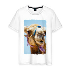 Мужская футболка хлопок с принтом Верблюд , 100% хлопок | прямой крой, круглый вырез горловины, длина до линии бедер, слегка спущенное плечо. | Тематика изображения на принте: верблюд | горб | животное | караван | песок | плевок | пустыня
