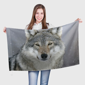 Флаг 3D с принтом Добрый волк , 100% полиэстер | плотность ткани — 95 г/м2, размер — 67 х 109 см. Принт наносится с одной стороны | взгляд | волк | волки | оскал