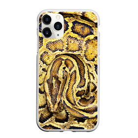 Чехол для iPhone 11 Pro матовый с принтом Змея , Силикон |  | snake | анаконда | гадюка | змеиная | змея | кобра | кожа | кожура | удав | уж | червь | червяк | яд