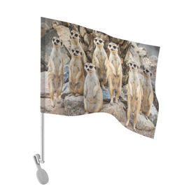 Флаг для автомобиля с принтом Сурикаты , 100% полиэстер | Размер: 30*21 см | животное | зверёк | калахари | мангуст | млекопитающее | сурикат | южная африка