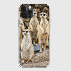 Чехол для iPhone 12 Pro Max с принтом Сурикаты , Силикон |  | животное | зверёк | калахари | мангуст | млекопитающее | сурикат | южная африка