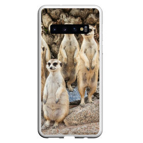 Чехол для Samsung Galaxy S10 с принтом Сурикаты , Силикон | Область печати: задняя сторона чехла, без боковых панелей | животное | зверёк | калахари | мангуст | млекопитающее | сурикат | южная африка