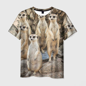 Мужская футболка 3D с принтом Сурикаты , 100% полиэфир | прямой крой, круглый вырез горловины, длина до линии бедер | животное | зверёк | калахари | мангуст | млекопитающее | сурикат | южная африка