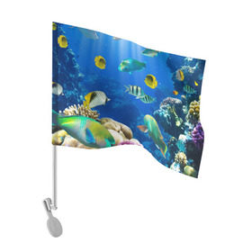 Флаг для автомобиля с принтом Дайвинг , 100% полиэстер | Размер: 30*21 см | дайвинг | египет | каникулы | коралловый риф | крабы | красное море | море | морские обитатели | океан | отдых | отпуск | подводные красоты | приключение | рыбки | рыбы | туризм