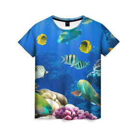 Женская футболка 3D с принтом Дайвинг , 100% полиэфир ( синтетическое хлопкоподобное полотно) | прямой крой, круглый вырез горловины, длина до линии бедер | дайвинг | египет | каникулы | коралловый риф | крабы | красное море | море | морские обитатели | океан | отдых | отпуск | подводные красоты | приключение | рыбки | рыбы | туризм