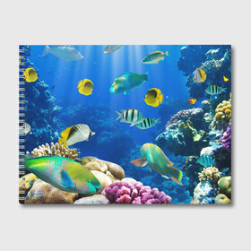 Альбом для рисования с принтом Дайвинг , 100% бумага
 | матовая бумага, плотность 200 мг. | дайвинг | египет | каникулы | коралловый риф | крабы | красное море | море | морские обитатели | океан | отдых | отпуск | подводные красоты | приключение | рыбки | рыбы | туризм
