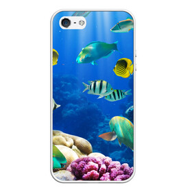 Чехол для iPhone 5/5S матовый с принтом Дайвинг , Силикон | Область печати: задняя сторона чехла, без боковых панелей | дайвинг | египет | каникулы | коралловый риф | крабы | красное море | море | морские обитатели | океан | отдых | отпуск | подводные красоты | приключение | рыбки | рыбы | туризм