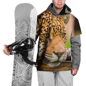 Накидка на куртку 3D с принтом Леопард , 100% полиэстер |  | взгляд | дикий | леопард | ягуар