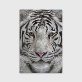 Обложка для паспорта матовая кожа с принтом Бенгальский тигр , натуральная матовая кожа | размер 19,3 х 13,7 см; прозрачные пластиковые крепления | Тематика изображения на принте: tiger | белый | дикая кошка | тигр | хищник