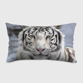 Подушка 3D антистресс с принтом Бенгальский тигр , наволочка — 100% полиэстер, наполнитель — вспененный полистирол | состоит из подушки и наволочки на молнии | tiger | белый | дикая кошка | тигр | хищник