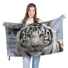 Флаг 3D с принтом Бенгальский тигр , 100% полиэстер | плотность ткани — 95 г/м2, размер — 67 х 109 см. Принт наносится с одной стороны | Тематика изображения на принте: tiger | белый | дикая кошка | тигр | хищник