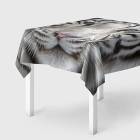 Скатерть 3D с принтом Бенгальский тигр , 100% полиэстер (ткань не мнется и не растягивается) | Размер: 150*150 см | tiger | белый | дикая кошка | тигр | хищник