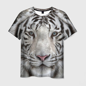 Мужская футболка 3D с принтом Бенгальский тигр , 100% полиэфир | прямой крой, круглый вырез горловины, длина до линии бедер | Тематика изображения на принте: tiger | белый | дикая кошка | тигр | хищник