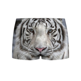 Мужские трусы 3D с принтом Бенгальский тигр , 50% хлопок, 50% полиэстер | классическая посадка, на поясе мягкая тканевая резинка | tiger | белый | дикая кошка | тигр | хищник