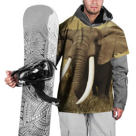 Накидка на куртку 3D с принтом Могучий слон , 100% полиэстер |  | elephant | африка | бивни | джунгли | мамонт | савана | сафари | слон | хобот