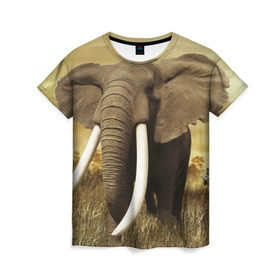 Женская футболка 3D с принтом Могучий слон , 100% полиэфир ( синтетическое хлопкоподобное полотно) | прямой крой, круглый вырез горловины, длина до линии бедер | elephant | африка | бивни | джунгли | мамонт | савана | сафари | слон | хобот