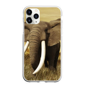 Чехол для iPhone 11 Pro матовый с принтом Могучий слон , Силикон |  | elephant | африка | бивни | джунгли | мамонт | савана | сафари | слон | хобот
