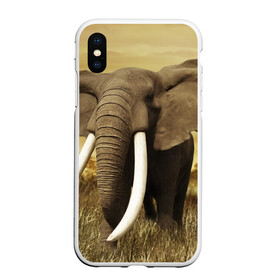 Чехол для iPhone XS Max матовый с принтом Могучий слон , Силикон | Область печати: задняя сторона чехла, без боковых панелей | elephant | африка | бивни | джунгли | мамонт | савана | сафари | слон | хобот