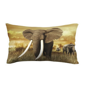 Подушка 3D антистресс с принтом Могучий слон , наволочка — 100% полиэстер, наполнитель — вспененный полистирол | состоит из подушки и наволочки на молнии | elephant | африка | бивни | джунгли | мамонт | савана | сафари | слон | хобот