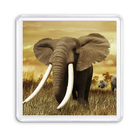 Магнит 55*55 с принтом Могучий слон , Пластик | Размер: 65*65 мм; Размер печати: 55*55 мм | elephant | африка | бивни | джунгли | мамонт | савана | сафари | слон | хобот