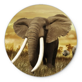 Коврик круглый с принтом Могучий слон , резина и полиэстер | круглая форма, изображение наносится на всю лицевую часть | elephant | африка | бивни | джунгли | мамонт | савана | сафари | слон | хобот