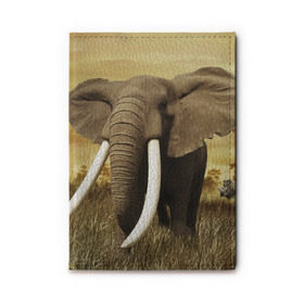 Обложка для автодокументов с принтом Могучий слон , натуральная кожа |  размер 19,9*13 см; внутри 4 больших “конверта” для документов и один маленький отдел — туда идеально встанут права | elephant | африка | бивни | джунгли | мамонт | савана | сафари | слон | хобот