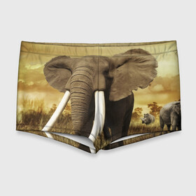 Мужские купальные плавки 3D с принтом Могучий слон , Полиэстер 85%, Спандекс 15% |  | Тематика изображения на принте: elephant | африка | бивни | джунгли | мамонт | савана | сафари | слон | хобот