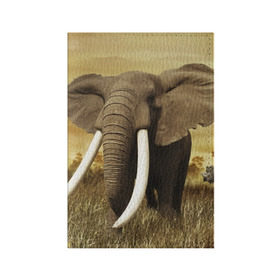 Обложка для паспорта матовая кожа с принтом Могучий слон , натуральная матовая кожа | размер 19,3 х 13,7 см; прозрачные пластиковые крепления | elephant | африка | бивни | джунгли | мамонт | савана | сафари | слон | хобот