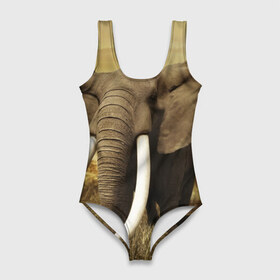 Купальник-боди 3D с принтом Могучий слон , 82% полиэстер, 18% эластан | Круглая горловина, круглый вырез на спине | elephant | африка | бивни | джунгли | мамонт | савана | сафари | слон | хобот