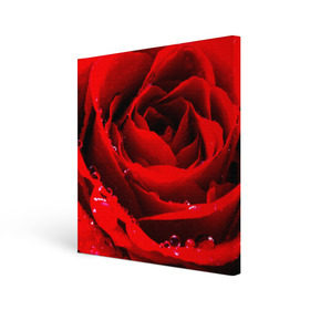 Холст квадратный с принтом Роза , 100% ПВХ |  | роза | розовая | розы | романтика | цветы