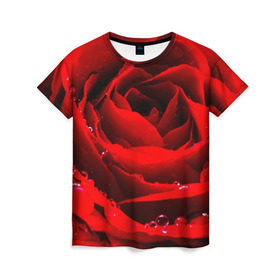 Женская футболка 3D с принтом Роза , 100% полиэфир ( синтетическое хлопкоподобное полотно) | прямой крой, круглый вырез горловины, длина до линии бедер | Тематика изображения на принте: роза | розовая | розы | романтика | цветы