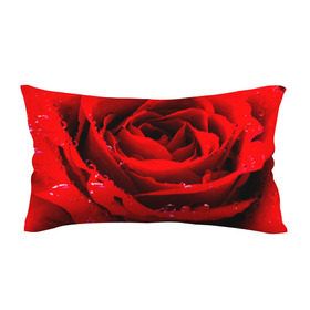 Подушка 3D антистресс с принтом Роза , наволочка — 100% полиэстер, наполнитель — вспененный полистирол | состоит из подушки и наволочки на молнии | роза | розовая | розы | романтика | цветы
