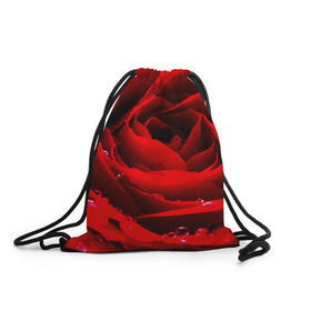 Рюкзак-мешок 3D с принтом Роза , 100% полиэстер | плотность ткани — 200 г/м2, размер — 35 х 45 см; лямки — толстые шнурки, застежка на шнуровке, без карманов и подкладки | роза | розовая | розы | романтика | цветы