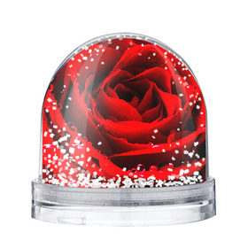 Водяной шар с принтом Роза , Пластик | Изображение внутри шара печатается на глянцевой фотобумаге с двух сторон | роза | розовая | розы | романтика | цветы