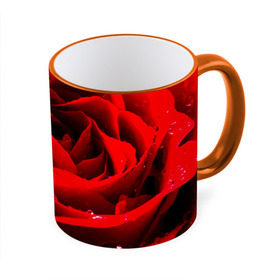 Кружка 3D с принтом Роза , керамика | ёмкость 330 мл | роза | розовая | розы | романтика | цветы